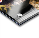 Fashion queen in crown sitting in jester court Acrylic print