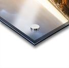 Golden Tasmania coastline Acrylic print