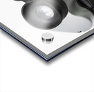 Visions of victory Acrylic print