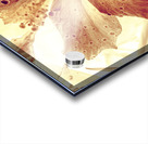 Hi-biscus Acrylic print