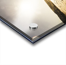 Kelvedon Beach Tasmania Australia Acrylic print