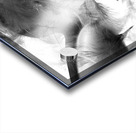 illusory design Acrylic print