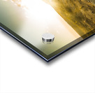 Trail to Trial Acrylic print