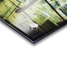 Old retro film camera in creative composition Acrylic print