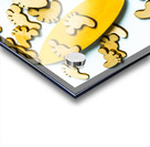 Hang ten  Acrylic print