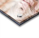 Beautiful Energy Acrylic print