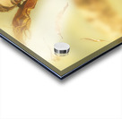 Happy nerd celebrating the fall of autumn Acrylic print