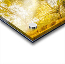 Water in fall Acrylic print