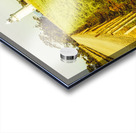 Table Cape Lighthouse Acrylic print