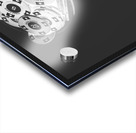 Casino cocktail Acrylic print