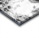 Harmonics inverted Acrylic print