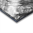 Parallels Acrylic print