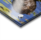 Duck Hunt Acrylic print