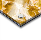 Seasonal gold Acrylic print