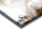 Sky Dance Acrylic print