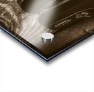 The banjo barn Acrylic print