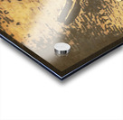 Wayfarer Waters Acrylic print