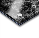 Tree dream Acrylic print