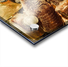 Dust covered medicine bottles Acrylic print