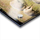 Farmyard Scene Acrylic print