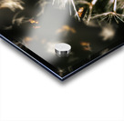 Splinters of finality Acrylic print