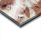 Exotic scripts Acrylic print