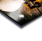 Skull and cross-examination  Acrylic print