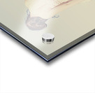 Vintage Heartache Acrylic print