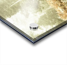 Mysterious trail Acrylic print