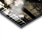 Midnight Musician Acrylic print