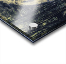 Natural wonder Acrylic print