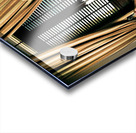 African Safari Couple Acrylic print