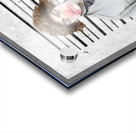 Clown Mug Shot Acrylic print