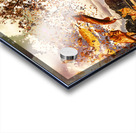 Tree leaves on a sea change Acrylic print