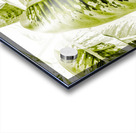 Jungle greens Acrylic print