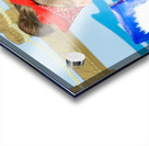 Housework Acrylic print