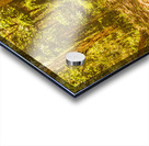 Island inland Acrylic print