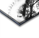 In Vision Acrylic print