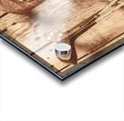 Woods and iron Acrylic print