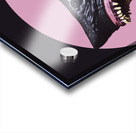 Fish n Chops Acrylic print