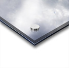 A Flight Of Hope Acrylic print