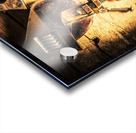 Reprogramming Centre Acrylic print