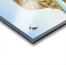 The Stanley Nut Acrylic print