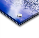 Halloween woodland Acrylic print