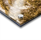 Vivid tree in a outback Australia Acrylic print