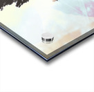 Finding beauty within Acrylic print