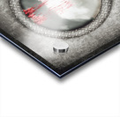 The gull who could no longer sea Acrylic print