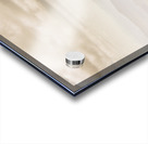 Wondrous Western Tasmania Acrylic print