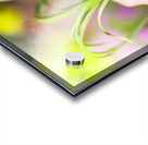 Hands Holding Plant Acrylic print