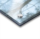 Wild blue woodland Acrylic print